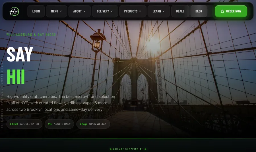 Hii NYC website, built by Bud Authority